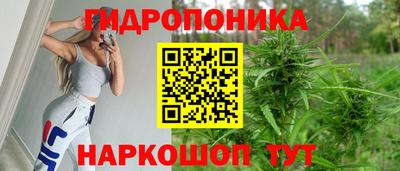 мдпв Мариинск