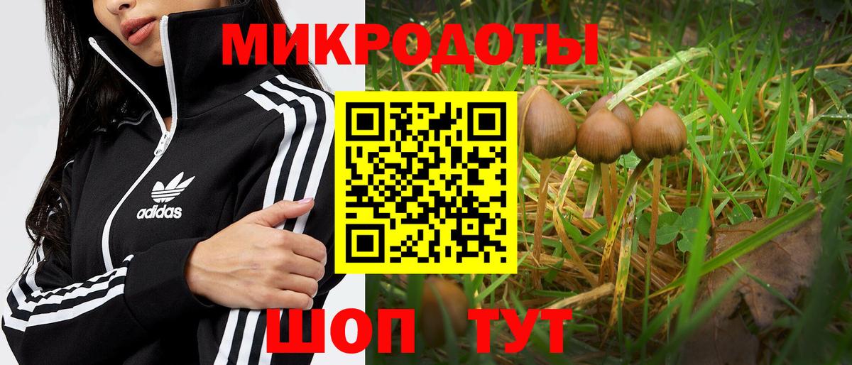 Псилоцибиновые грибы ЛСД  даркнет сайт  Чистополь  Вход с VPN 